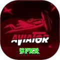 9pkr Pro Max vv1.6.6