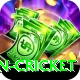 afghanistan cricket Pro Max v3.5.2