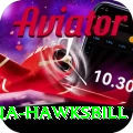 antigua hawksbill Plus v3.1.6