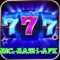 bbl big bash apk VIP Pro v4.3.7