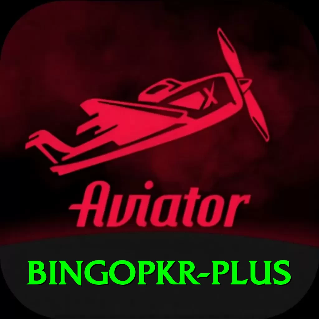 bingopkr Master Pro v1.1.0 - 2