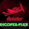 bingopkr Master Pro v1.1.0