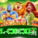 bpl live cricket Master v3.6.0