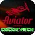 cricket pitch Elite Pro v4.0.2