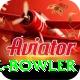 economy rate bowler Master v3.2.3