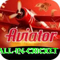fastest ball in cricket Gold Edition v1.8.2