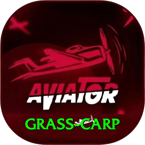 grass carp Apps (Tools & Injectors) Pro v4.6.8 - 2