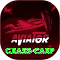 grass carp Apps (Tools & Injectors) Pro v4.6.8
