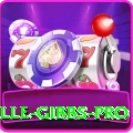 herschelle gibbs Casino Royal v2.8.5