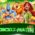 india cricket match Pro v2.7.0