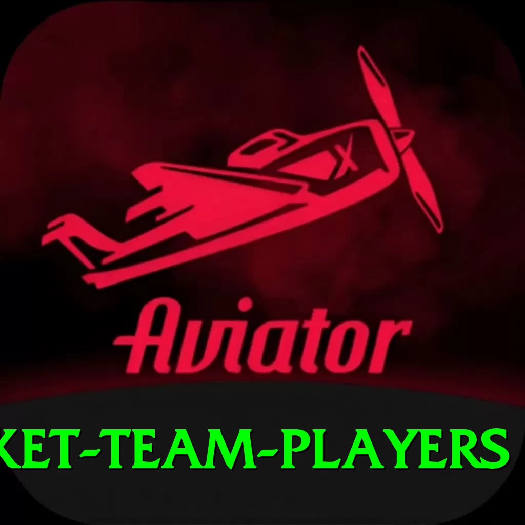 india national cricket team players Turbo v1.5.2 - 2