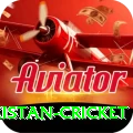 india pakistan cricket Deluxe Edition v4.6.0