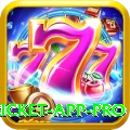 live cricket app Premium Casino App