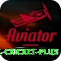 mobile cricket Casino Official v5.3.0
