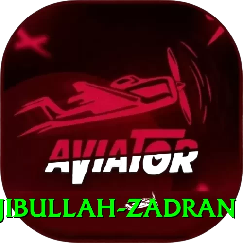 najibullah zadran Deluxe Pro v4.0.9 - 2