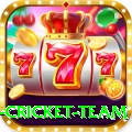new zealand cricket team Pro v1.0.0