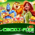 one cricket Pro - Casino & Slots