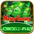 online cricket Games Prime