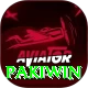 Pakiwin Pro1 v4.9.9