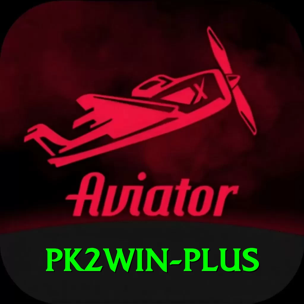 pk2win VIP Edition v5.5.1 - 2