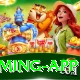 PKR Slots Prime Gaming App