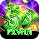 PKWin Apps (Tools & Injectors) Turbo vv3.5.9