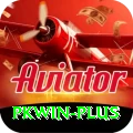 pkwin Elite v4.0.1