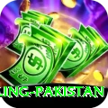responsible gambling pakistan Gold Pro v1.0.6