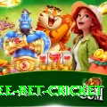 risk free bet cricket Apps (Tools & Injectors) Deluxe v3.4.6