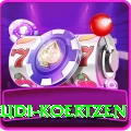 rudi koertzen Elite v2.9.8