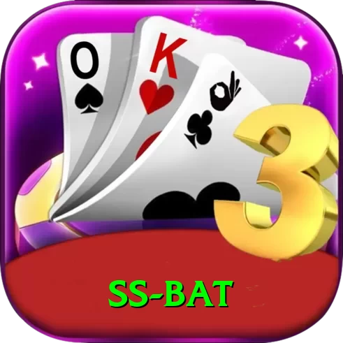 ss bat VIP v3.6.1 - 2
