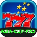 t20 asia cup - Champion v2.4.1