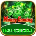 test cricket Pro Max v2.4.6