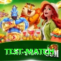 test match Apps (Tools & Injectors) Pro v2.3.8