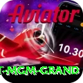 the signature at mgm grand Apps (Tools & Injectors) Elite v2.1.8