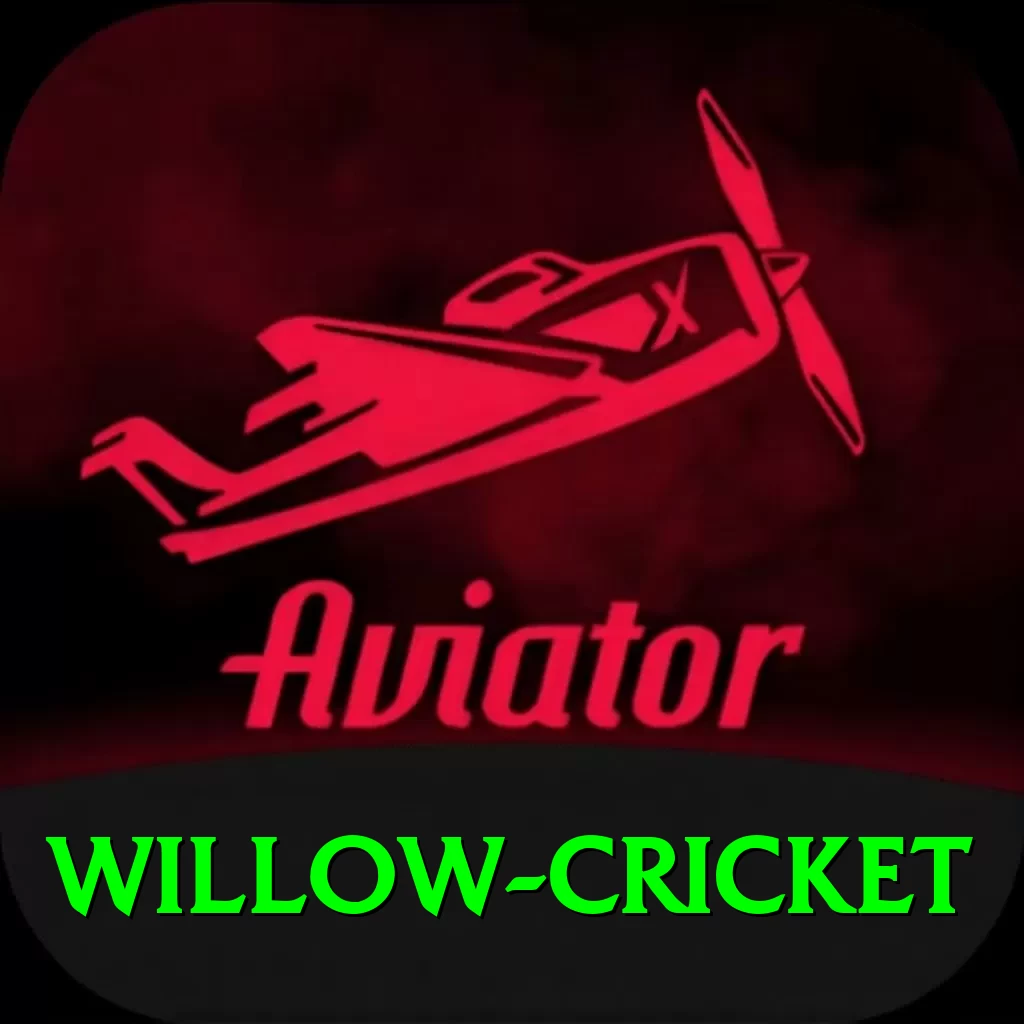 willow cricket Master Pro v5.1.0 - 2