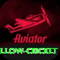 willow cricket Master Pro v5.1.0