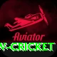 willow cricket Master Pro v5.1.0
