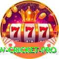 willow cricket Live Plus
